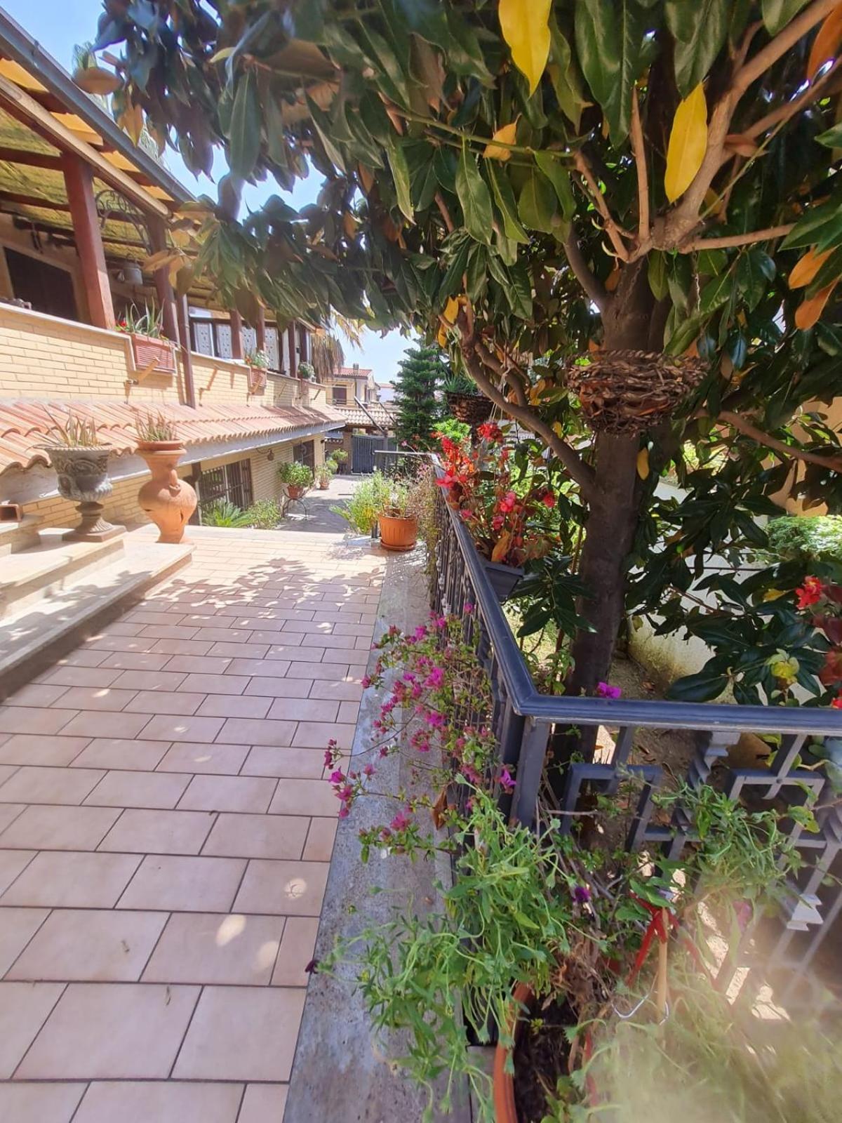 Villa Mattei Dreams โรม ภายนอก รูปภาพ